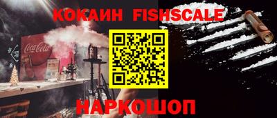 крисы Камышлов