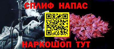 крисы Камышлов