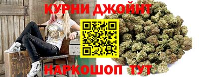 крисы Камышлов