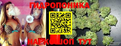 MDMA Кандалакша