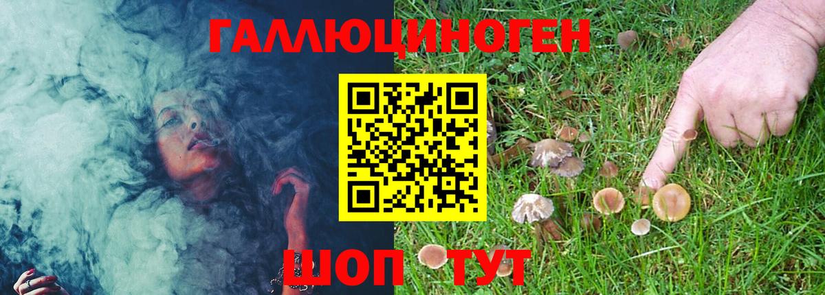 Галлюциногенные грибы мухоморы Красноуфимск
