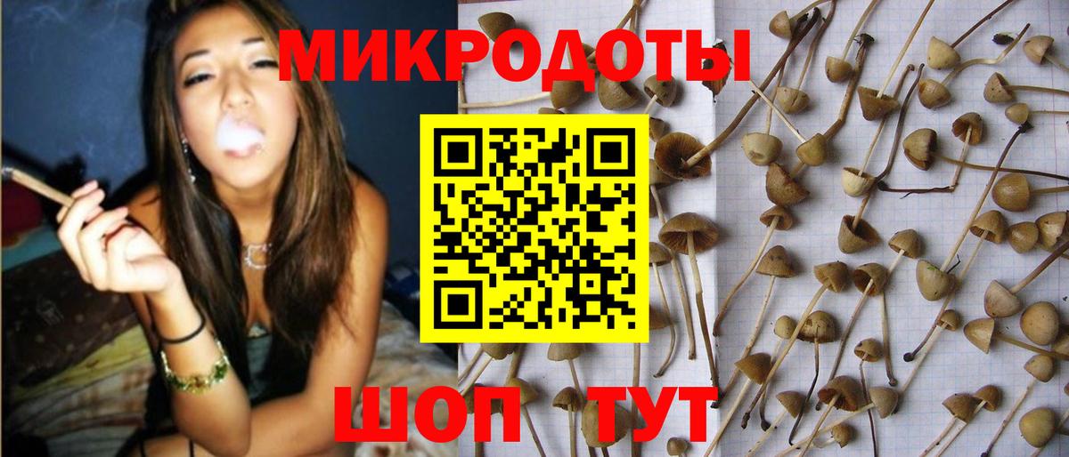 Псилоцибиновые грибы Psilocybe  Галлюциногенные грибы Psilocybine cubensis  Вход с VPN  Красноуфимск 